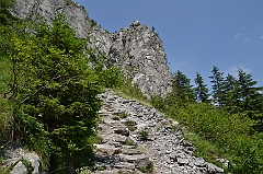 Sarnia Skała