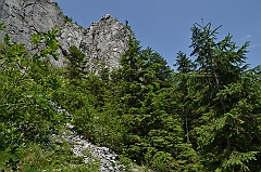 Sarnia Skała