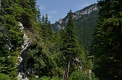 Sarnia Skała