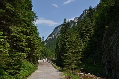Sarnia Skała
