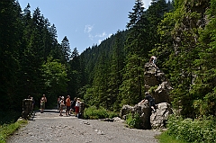 Sarnia Skała