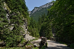 Sarnia Skała
