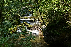 Sarnia Skała