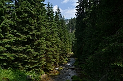 Sarnia Skała