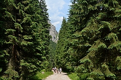 Sarnia Skała