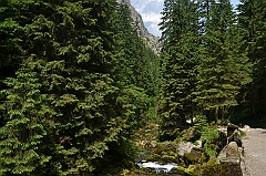 Sarnia Skała