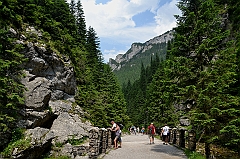 Sarnia Skała