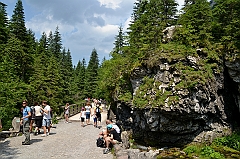 Sarnia Skała
