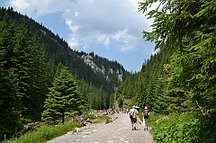 Sarnia Skała
