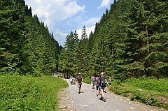 Sarnia Skała