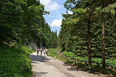 Sarnia Skała