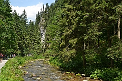 Sarnia Skała