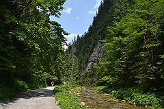 Sarnia Skała