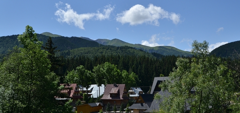 Przełęcz w Grzybowcu