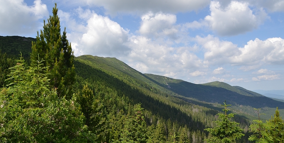 Babia Góra