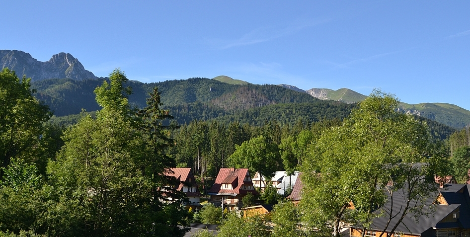 Świnica